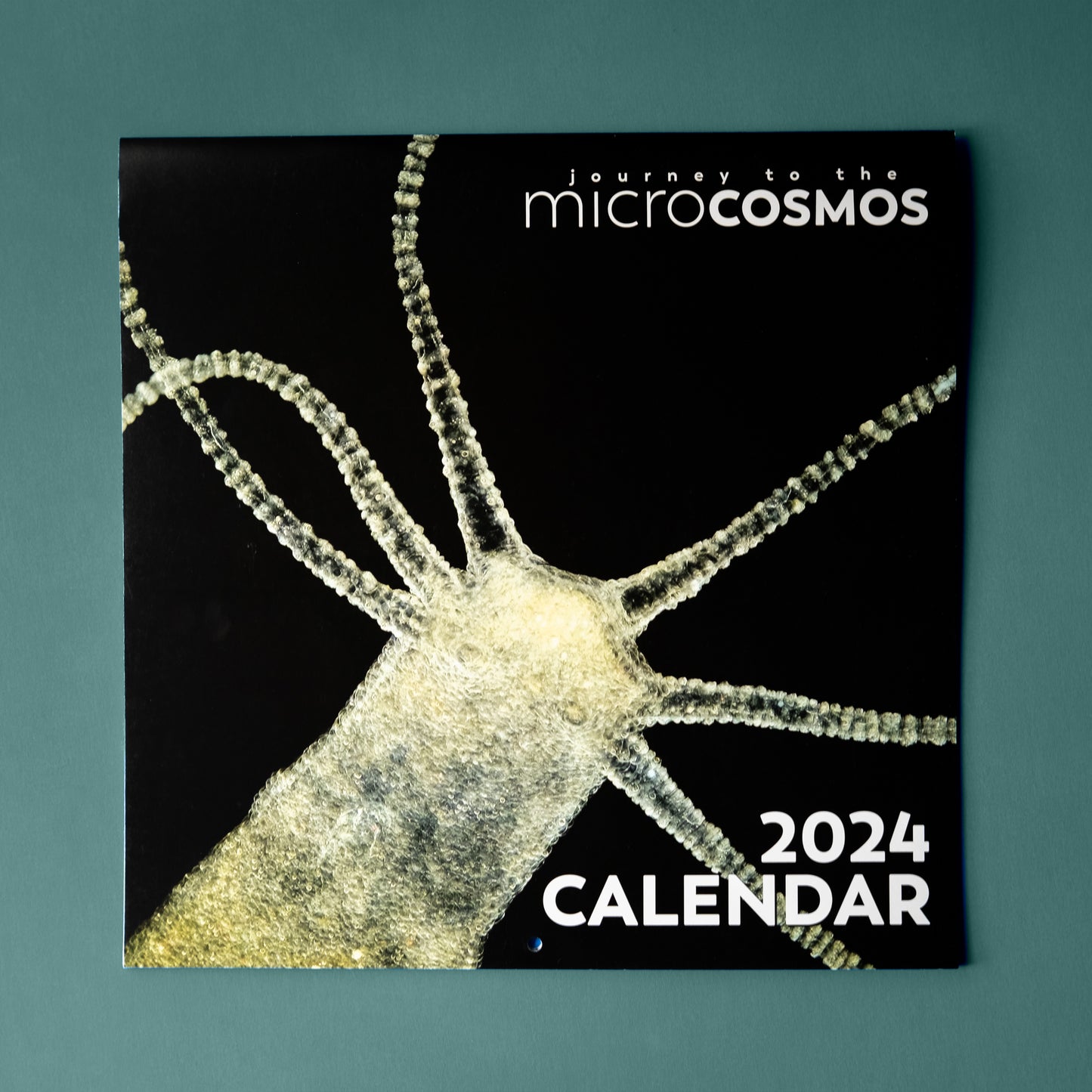 The cover of the Journey To The Microcosmos 2024 calendar, featuring a Hydra